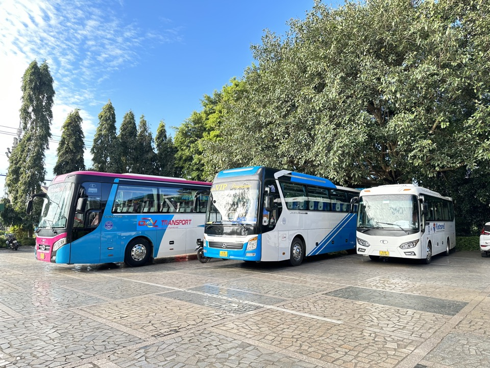 Tour Quy Nhơn Kết Hợp Dịch Vụ Thuê Xe Du Lịch – Tiện Lợi Từ A–Z
